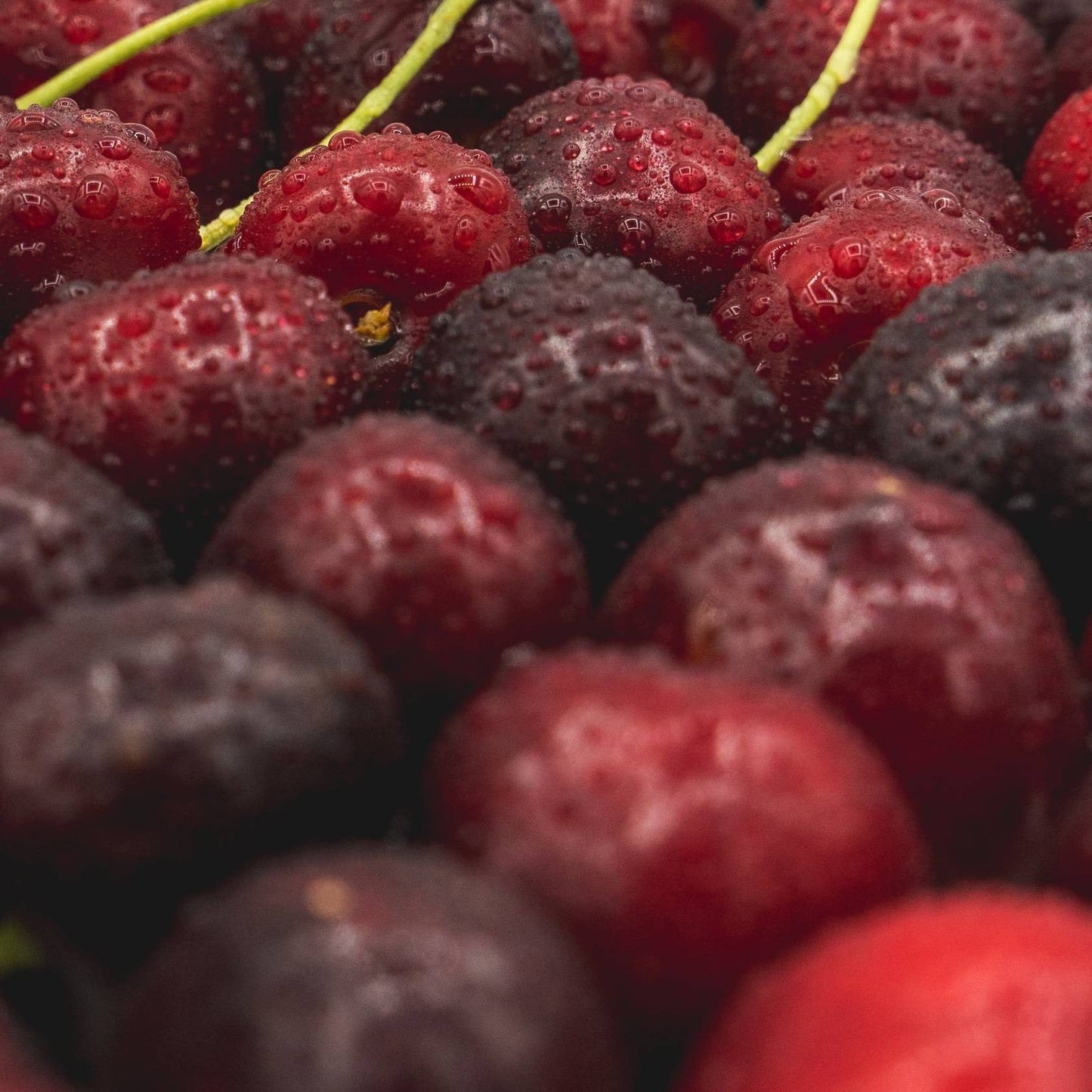 Sweet Cherry Drive Scent Refill